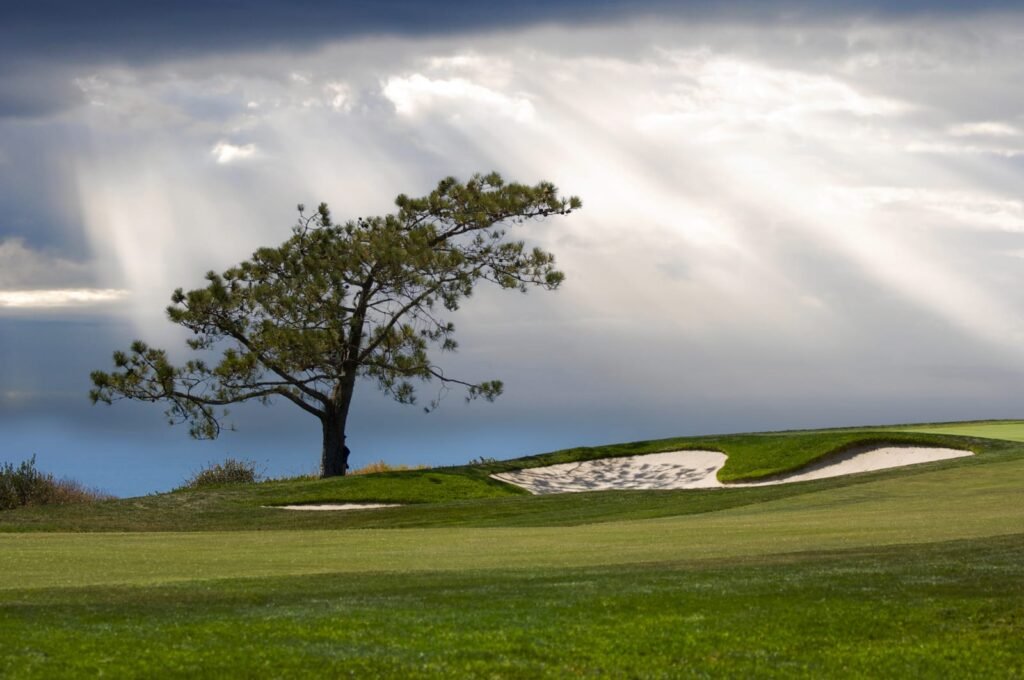 Lone Torrey Pine tree on a hill at Torrey Pines Golf Course with dramatic sunbeams breaking through storm clouds, a iconic San Diego landscape used by Eric Strate for Search Engine Optimization services.